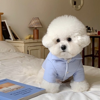 Ρούχα για κατοικίδια με παχύ βαμβάκι, ζεστά χειμωνιάτικα ρούχα για σκύλους, γάτα, Teddy, αρκούδα, μικρό σκυλί, φθινοπωρινά και χειμωνιάτικα ρούχα *