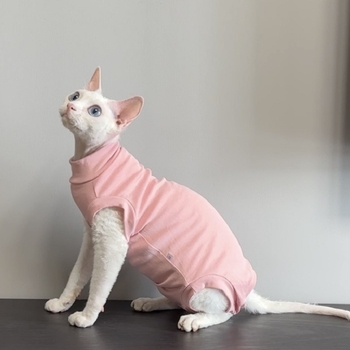 Amazon Crossborder Hair Cat Есенни и зимни дрехи Sphinx Devin Къдрава котка Зимна защита на корема Базова риза