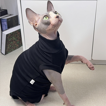 Amazon Crossborder Hair Cat Есенни и зимни дрехи Sphinx Devin Къдрава котка Зимна защита на корема Базова риза