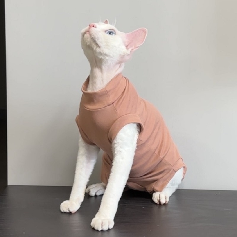 Amazon Cross-border Hair Cat Φθινοπωρινά και Χειμερινά Ρούχα Sphinx Devin Curly Cat Winter Belly Protection Base Shirt