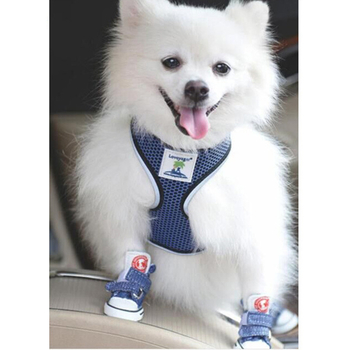 Μικρά παπούτσια για σκύλους αρκουδάκι για σκύλους τεσσάρων εποχών από τα παπούτσια αρκούδας καλύπτουν αντι-βρώμικα παπούτσια καμβά αντι-πτώσης παπούτσια για κατοικίδια αναπνεύσιμα