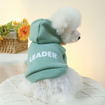 PETCIRCLE ρούχα για κατοικίδια, γάτες και σκύλους, χαριτωμένα δίποδα ρούχα, βασική έκδοση, ανοιχτόχρωμο πουλόβερ με κουκούλα και καυτή εκτύπωση