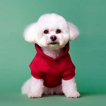 PETCIRCLE ρούχα για κατοικίδια, γάτες και σκύλους, χαριτωμένα δίποδα ρούχα, βασική έκδοση, ανοιχτόχρωμο πουλόβερ με κουκούλα και καυτή εκτύπωση