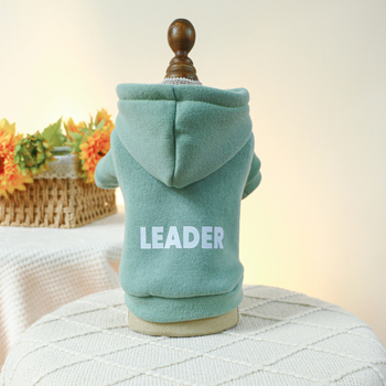 PETCIRCLE ρούχα για κατοικίδια, γάτες και σκύλους, χαριτωμένα δίποδα ρούχα, βασική έκδοση, ανοιχτόχρωμο πουλόβερ με κουκούλα και καυτή εκτύπωση