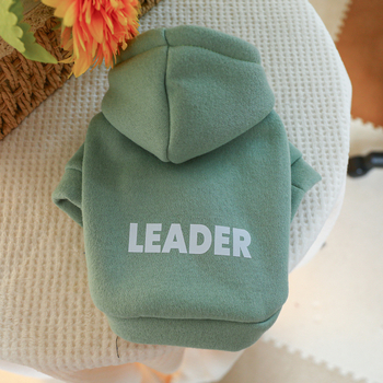 PETCIRCLE ρούχα για κατοικίδια, γάτες και σκύλους, χαριτωμένα δίποδα ρούχα, βασική έκδοση, ανοιχτόχρωμο πουλόβερ με κουκούλα και καυτή εκτύπωση