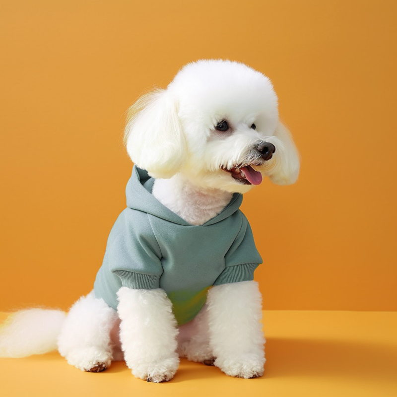 PETCIRCLE ρούχα για κατοικίδια, γάτες και σκύλους, χαριτωμένα δίποδα ρούχα, βασική έκδοση, ανοιχτόχρωμο πουλόβερ με κουκούλα και καυτή εκτύπωση