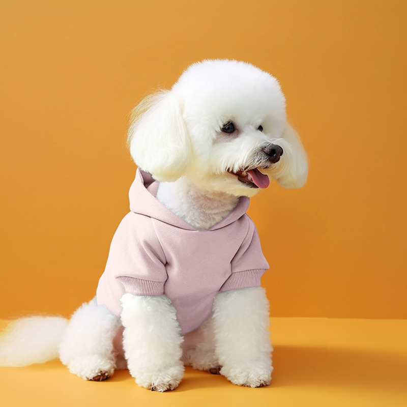 PETCIRCLE ρούχα για κατοικίδια, γάτες και σκύλους, χαριτωμένα δίποδα ρούχα, βασική έκδοση, ανοιχτόχρωμο πουλόβερ με κουκούλα και καυτή εκτύπωση
