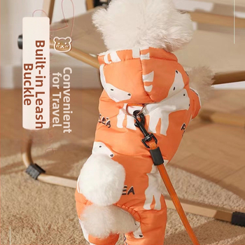 Σκύλος Φθινόπωρο και Χειμώνας Teddy Pomerie Τετράποδο Μικρό Σκυλάκι Κουτάβι Κατοικίδιο Φθινόπωρο και Χειμώνας Bixie Puppy Φθινόπωρο και Χειμώνας