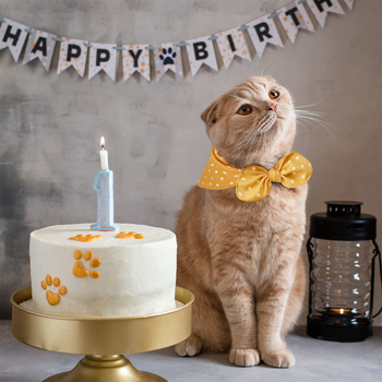 Κορεάτικη εκτύπωση κύματος αναπνεύσιμη απορροφητική τετράγωνη πετσέτα σάλιο πετσέτα τρίγωνη πετσέτα κατοικίδιο σκύλος εξωτερικό εμπόριο εκρήξεις κατοικίδιο κασκόλ