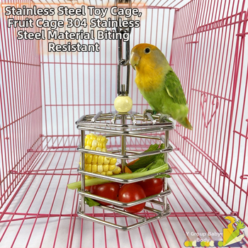 304 roostevabast terasest papagoi hammustav toiduotsingu puurimänguasi molaarne mänguasi puuri papagoi puuviljakorvi ripats