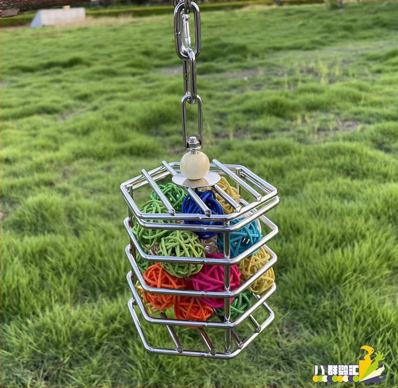 304 roostevabast terasest papagoi hammustav toiduotsingu puurimänguasi molaarne mänguasi puuri papagoi puuviljakorvi ripats