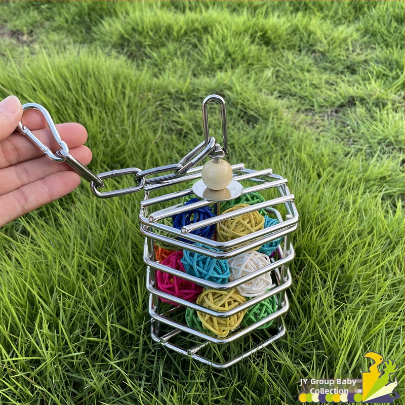 304 roostevabast terasest papagoi hammustav toiduotsingu puurimänguasi molaarne mänguasi puuri papagoi puuviljakorvi ripats