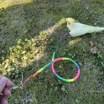 Σετ σχοινιών για παπαγάλους που δεν βλάπτουν τα πόδια, αστράγαλο παπαγάλου, πολύχρωμο ανασυρόμενο σχοινί έλξης, μαύρο δέρμα φοίνικα και τίγρης, σχοινί για περπάτημα πουλιών
