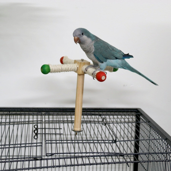 Играчка за птици, въртяща се топка, гризаща кътник, сизалово въже, малък и среден папагал, образователни забавления, домашни любимци, масивна дървесина, трансгранична...