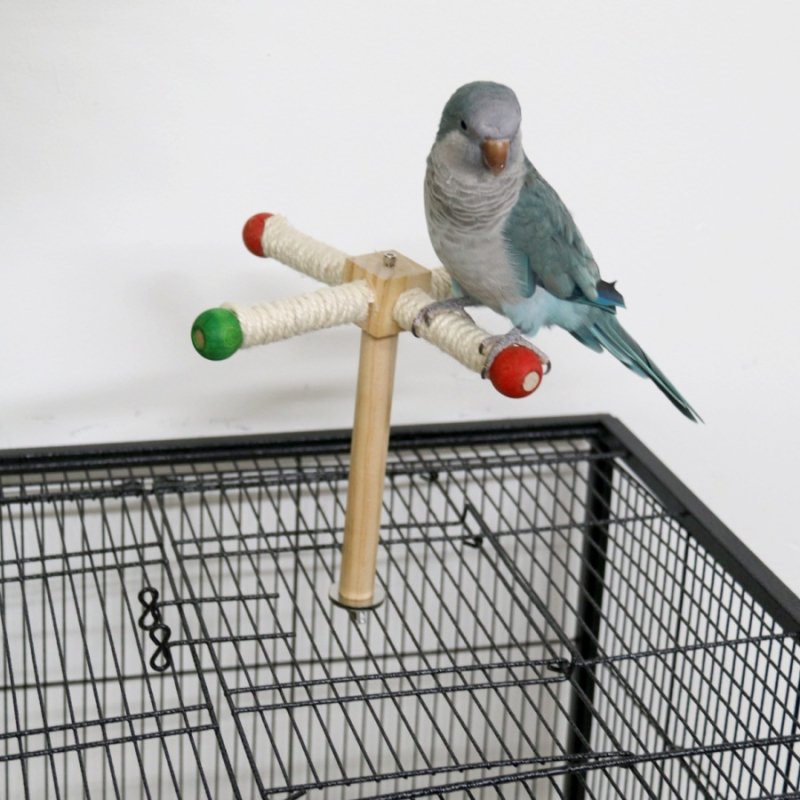 Играчка за птици, въртяща се топка, гризаща кътник, сизалово въже, малък и среден папагал, образователни забавления, домашни любимци, масивна дървесина, трансгранична...
