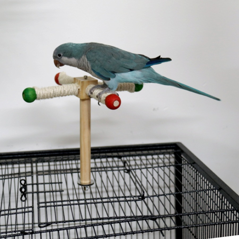 Играчка за птици, въртяща се топка, гризаща кътник, сизалово въже, малък и среден папагал, образователни забавления, домашни любимци, масивна дървесина, трансгранична...