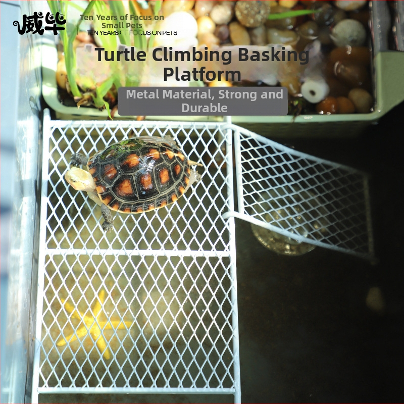 Малка костенурка, маса за сушене на гърба, водна костенурка, тревна костенурка, бразилска костенурка, маса за катерене по стълба, комбинирана костенурка, почивка за аквариум, пейзаж, плаваща маса, консумативи