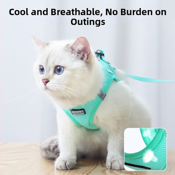 Lemmiklooma rinnarihmaga kassirihmaga vest