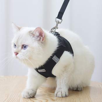 Lemmiklooma rinnarihmaga kassirihmaga vest