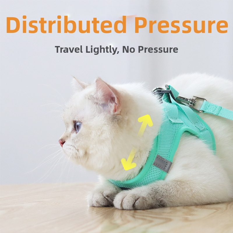 Lemmiklooma rinnarihmaga kassirihmaga vest