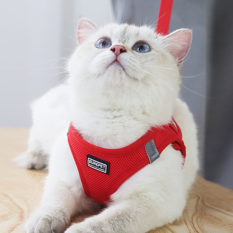 Lemmiklooma rinnarihmaga kassirihmaga vest