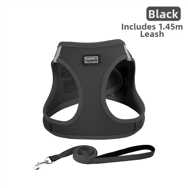 Lemmiklooma rinnarihmaga kassirihmaga vest