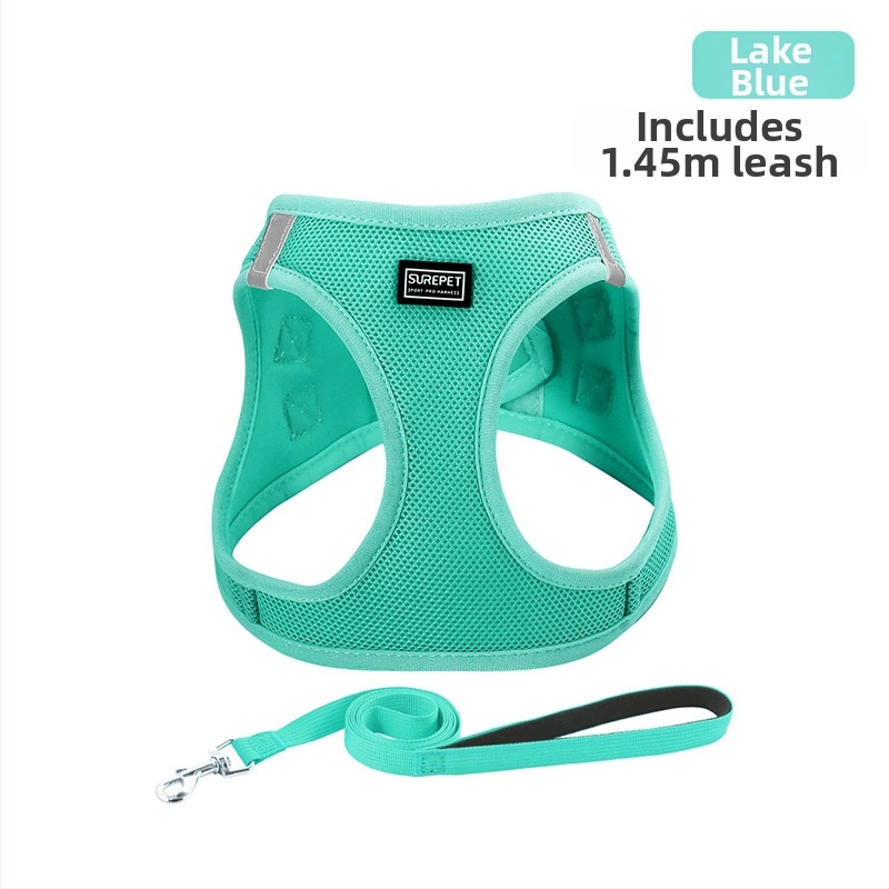 Lemmiklooma rinnarihmaga kassirihmaga vest