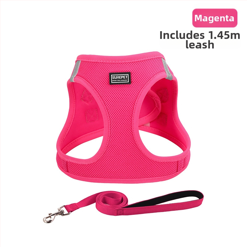 Lemmiklooma rinnarihmaga kassirihmaga vest