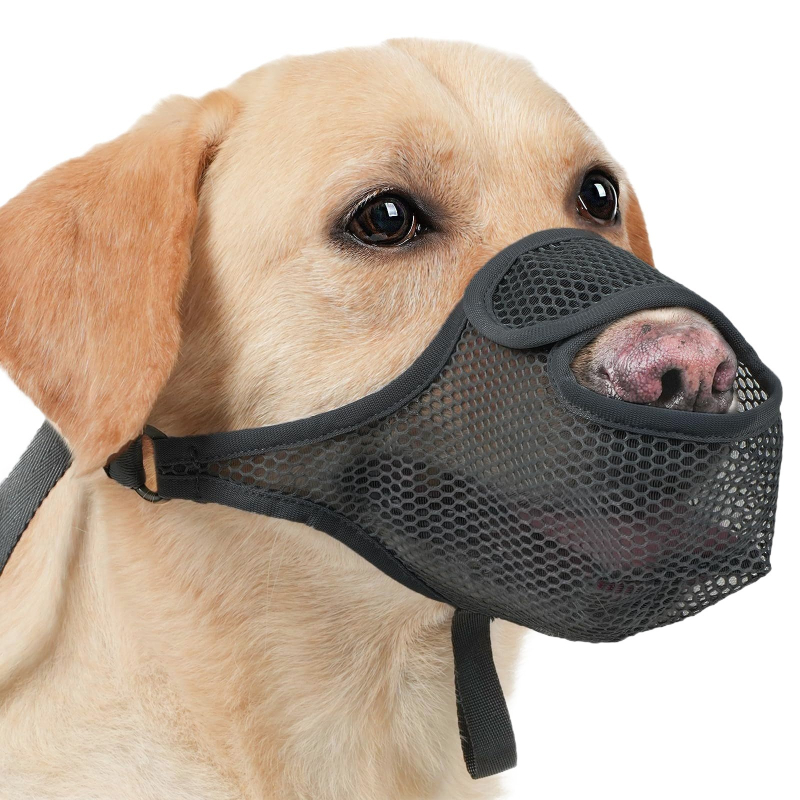 Tarpvalstybinis populiarus šunų snukis, apsaugantis nuo valgymo, kvėpuojantis šunų kaukės apsauginis nuo pasmaugimo šunų snukis