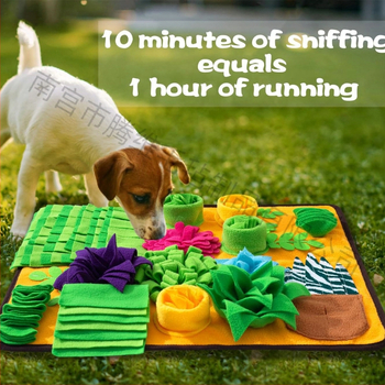 Νέο μπολ οσμών για σκύλους που καταναλώνει φυσική ενέργεια από διαρροή τροφής, ανακουφίζει από την αποπνικτική μυρωδιά του κατοικίδιου ζώου, αποσυμπίεσης και αργής τροφής.