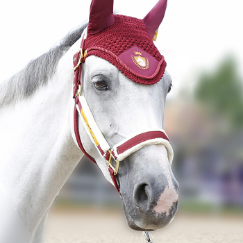 Hobusepuur, peakate, kulumisvastane, hobuseparandus, lemmikloomatarbed, rakmed, ratsutamistarvete tehas 8218099