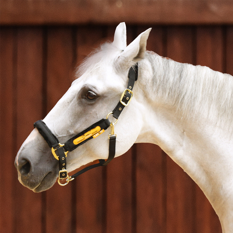 Hobusepuur, peakate, kulumisvastane, hobuseparandus, lemmikloomatarbed, rakmed, ratsutamistarvete tehas 8218099