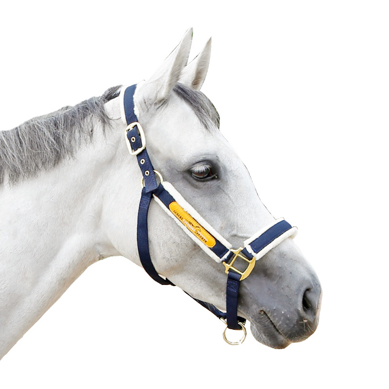 Hobusepuur, peakate, kulumisvastane, hobuseparandus, lemmikloomatarbed, rakmed, ratsutamistarvete tehas 8218099