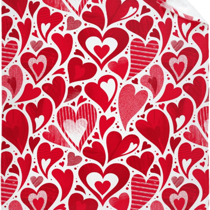 Punase südamemustriga sõbrapäeva tekk flanellmaterjalist pühadekingitus poiss- ja tüdruksõbrale