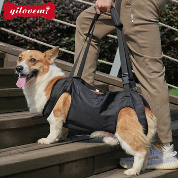 Prekogranična oprema za kućne ljubimce Pomoć ozlijeđenom psu pri ozljedi stražnje noge Odvesti starog ozlijeđenog psa gore Pomoć putniku pri izlasku radi trakcije