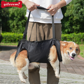 Διασυνοριακά είδη κατοικίδιων ζώων Βοήθεια με τραυματισμένο σκύλο στο πίσω μέρος Μεταφορά ηλικιωμένου τραυματισμένου σκύλου Ανεβείτε επάνω Βοήθεια με το ταξίδι του σκύλου σας για έλξη