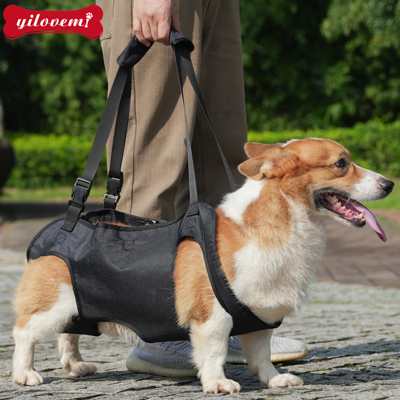 Prekogranična oprema za kućne ljubimce Pomoć ozlijeđenom psu pri ozljedi stražnje noge Odvesti starog ozlijeđenog psa gore Pomoć putniku pri izlasku radi trakcije