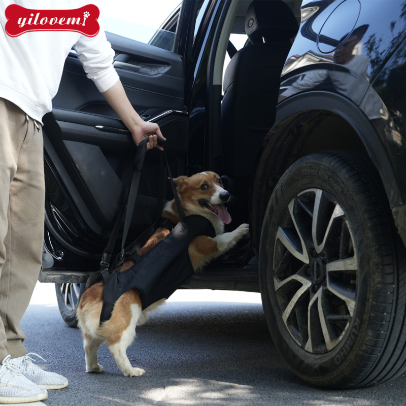 Prekogranična oprema za kućne ljubimce Pomoć ozlijeđenom psu pri ozljedi stražnje noge Odvesti starog ozlijeđenog psa gore Pomoć putniku pri izlasku radi trakcije