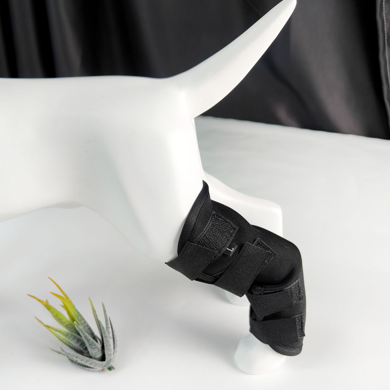 Защитно покривало за фрактури на краката на кучета, наколенки за кучета, фиксирана защитна екипировка за наранявания, спомагателен колан за скоби за предни и задни крака на домашни любимци