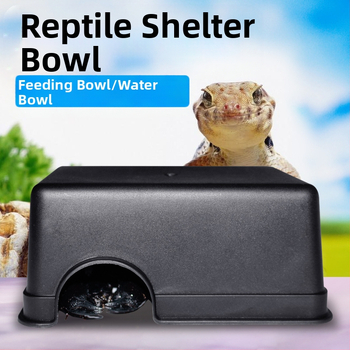 Niuniu Malé plazenie Pet Reptile Dodging Palace Watch Toy Had Frog Eye Lizard Jaskyňa Pavúk Škorpión Stonožka Špeciálna jaskyňa