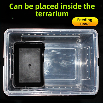 Niuniu Μικρό ερπετό που σέρνεται, αποφεύγει το παλάτι, ρολόι, παιχνίδι, φίδι, βάτραχος, μάτι, σαύρα, σπήλαιο, αράχνη, σκορπιός, σαρανταποδαρούσα, ειδικό σπήλαιο