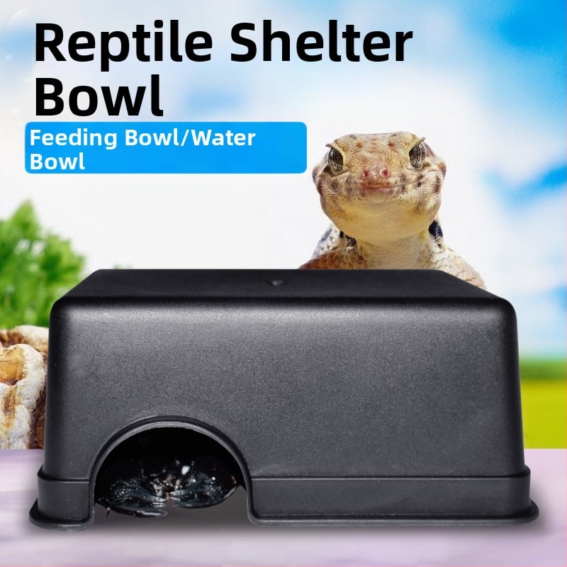 Niuniu Malé plazenie Pet Reptile Dodging Palace Watch Toy Had Frog Eye Lizard Jaskyňa Pavúk Škorpión Stonožka Špeciálna jaskyňa