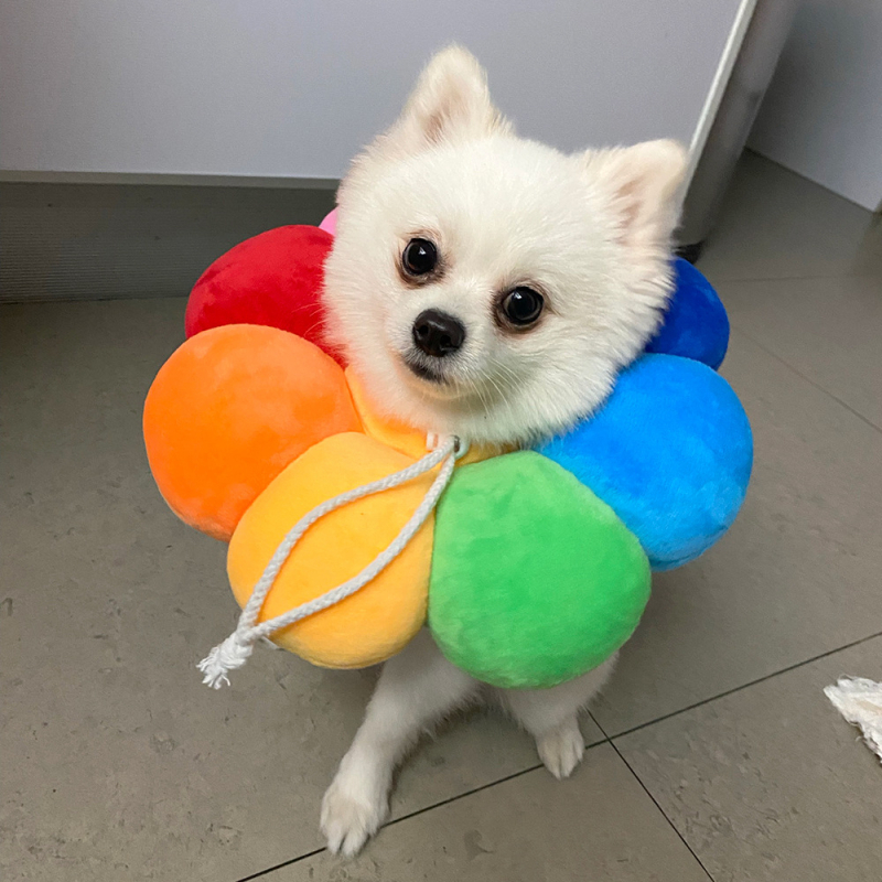 T Elizabeth Circle mekani prsten za sterilizaciju mačaka, navlaka za kućne ljubimce protiv ugriza, vodootporni prsten za pse protiv lizanja