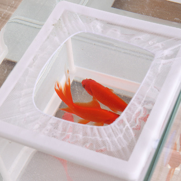 【Akcija】Žuvų rezervuaro izoliacinis tinklas, akvariumo izoliacinis izoliacinis dėžutės tinklas, inkubatorius, veisimo dėžė žuvims ir dekoratyvinėms žuvims perinti