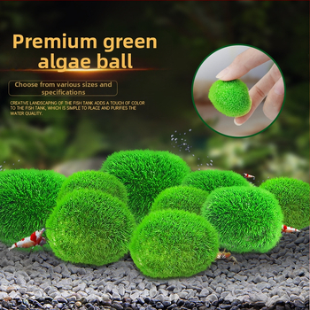 Kunstlik kalatank merevetikapall veetaimed mikromaastik ökoloogiline pudel rohevetikapall kalatank maastik siseruumides töölaua kaunistused kaunistused