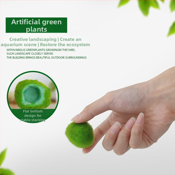 Kunstlik kalatank merevetikapall veetaimed mikromaastik ökoloogiline pudel rohevetikapall kalatank maastik siseruumides töölaua kaunistused kaunistused