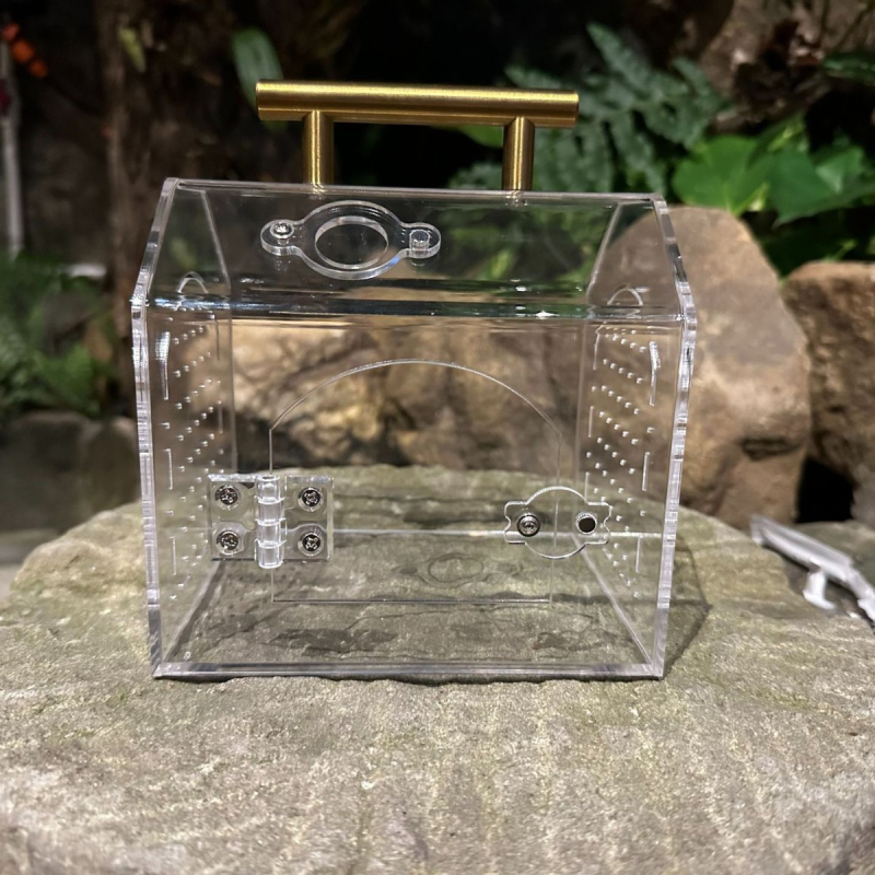 Prekogranična akrilna prozirna magnetska sastavljena kutija za kućne ljubimce, kutija za uzgoj gekona i gmazova, ekološka kutija za uzgoj