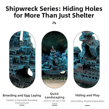 Akvaarium kalapaak vesi õlgpaak maastik kiviktaimla kaunistus kaunistus laevahukk kahur lennuk lahingulaev allveelaev varjupaik maja