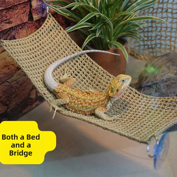 Siurbimo puodelio pintas hamakas, žiurkėno žaislas, karčiai, liūtas, driežas, augintinis, miegas, laipiojimas, augintinių maitinimas, termostatas, sūpynės, laipiojimo tinklelis