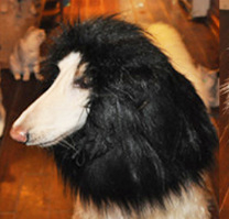 Трансгранична шапка за кучета с лъв, костюм за кучета за Хелоуин, дрехи за кучета, трансформирана златна коса, забавно куче